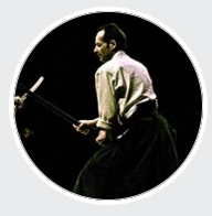 Logo Aikido Club Cournonnais